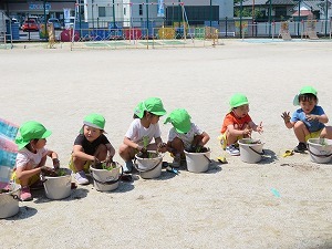 IMG_0918 IMG_0918