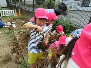 IMG_0998 IMG_0998