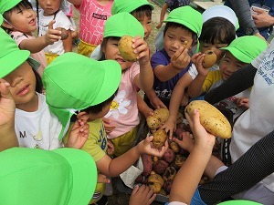 IMG_1004 IMG_1004