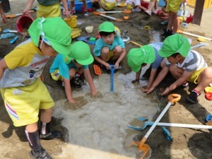 IMG_0947 IMG_0947