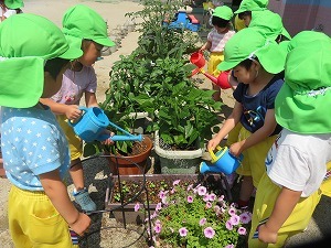 IMG_0929 IMG_0929