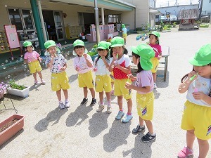 IMG_0971 IMG_0971