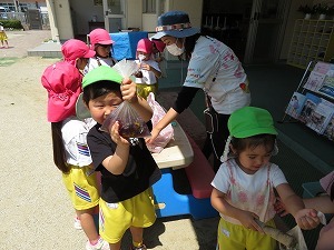 IMG_0728 IMG_0728