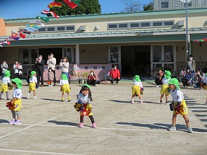 IMG_0282 IMG_0282