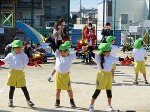 IMG_0291 IMG_0291