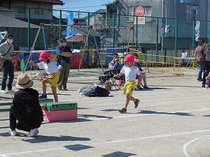 IMG_0385 IMG_0385