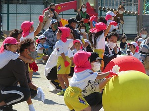 IMG_0434 IMG_0434