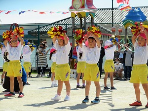 IMG_0452 IMG_0452