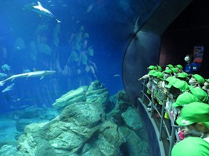 IMG_0746 IMG_0746