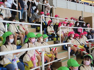IMG_0769 IMG_0769