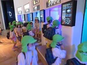 IMG_0794 IMG_0794