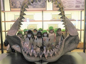 IMG_0800