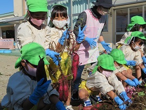 IMG_0992 IMG_0992