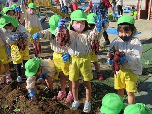 IMG_0996 IMG_0996