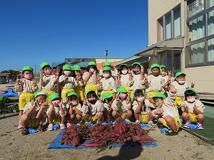 IMG_1008 IMG_1008