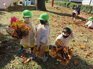 IMG_1162 IMG_1162