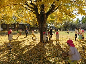 IMG_1167 IMG_1167