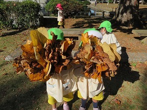 IMG_1181 IMG_1181