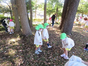 IMG_1196 IMG_1196