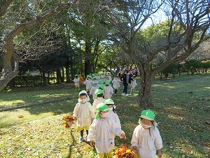 IMG_1203 IMG_1203