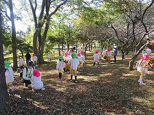 IMG_1199 IMG_1199