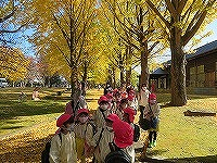 IMG_1101 IMG_1101