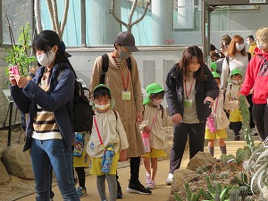 IMG_1241 IMG_1241