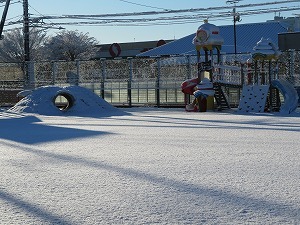 IMG_1416 IMG_1416