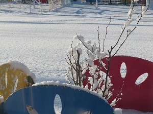IMG_1419 IMG_1419