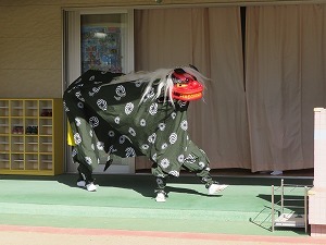 IMG_1507 IMG_1507