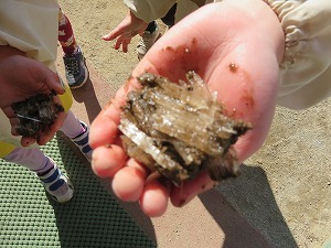 IMG_1614 IMG_1614