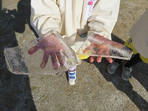 IMG_1618