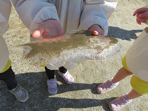 IMG_1619 IMG_1619
