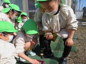 IMG_2054 IMG_2054
