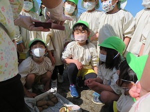 IMG_2050 IMG_2050