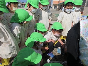 IMG_2049 IMG_2049