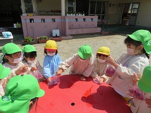 IMG_2347