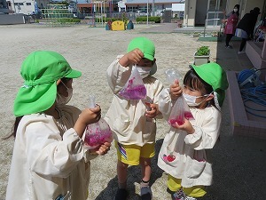 IMG_2340 IMG_2340