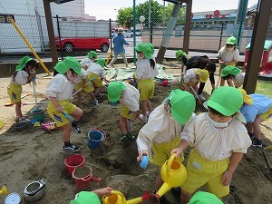 IMG_2352 IMG_2352