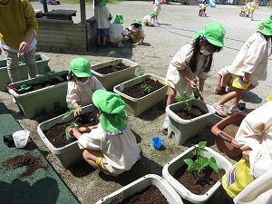 IMG_2520 IMG_2520