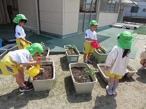 IMG_2553 IMG_2553