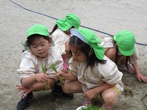IMG_2648 IMG_2648