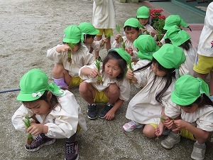IMG_2650