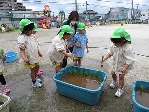 IMG_2662 IMG_2662