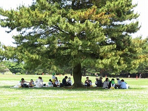 IMG_2690 IMG_2690