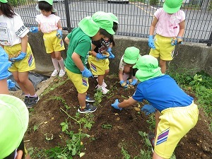 IMG_2831 IMG_2831