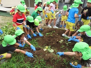 IMG_2836 IMG_2836