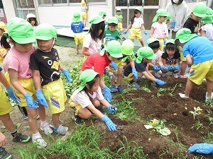 IMG_2835 IMG_2835