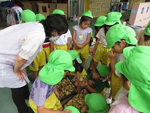 IMG_2855 IMG_2855
