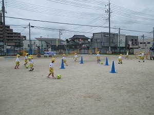 IMG_1939 IMG_1939
